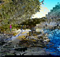 Five Islands Walking Track - Find Attractions