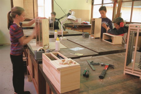 Forest Discovery Centre - Find Attractions 1