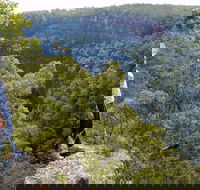 Glenbrook Gorge Track - Find Attractions