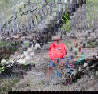 Gunbower Island Forest Drive - Find Attractions