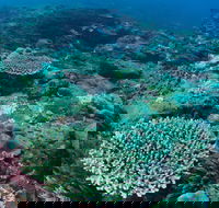 Hanging Rock Dive Site - Find Attractions