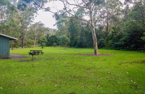 Haynes Flat Picnic Area - Find Attractions 0