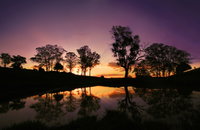 Book Highfields Accommodation Vacations Find Attractions Find Attractions