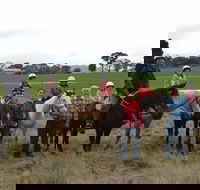 High Country Trail Rides - Find Attractions