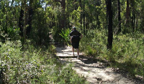 Karloo Walking Track - Find Attractions 0