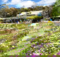 Kate's Berry Farm - Find Attractions