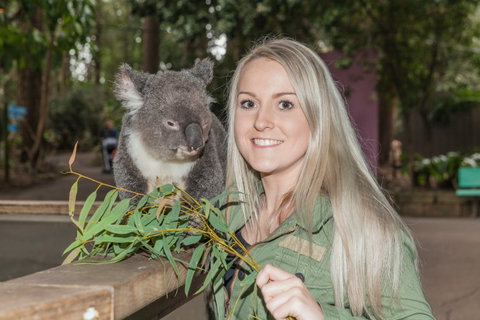 Koala Park Sanctuary - Find Attractions 0