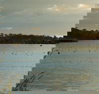 Lake Inverell Reserve - Find Attractions