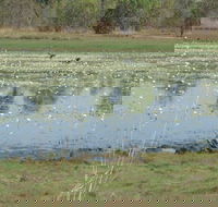 Leaning Tree Lagoon Nature Park - Find Attractions
