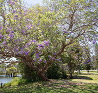 Leis Park - Find Attractions
