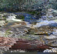 Liffey Falls Reserve - Find Attractions