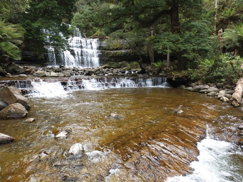 Liffey Falls Reserve - Find Attractions 1