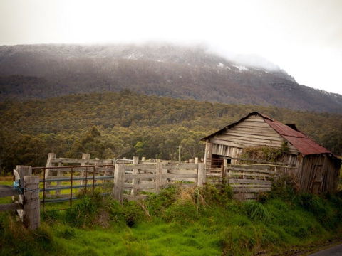 Liffey Falls Reserve - Find Attractions 2