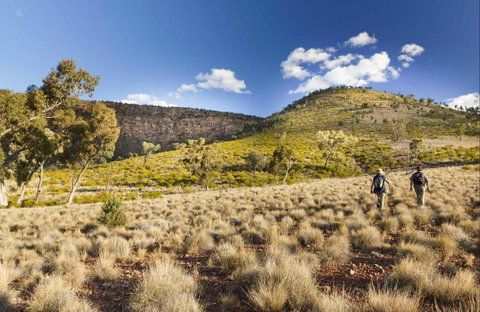 Little Mountain Walking Track - Find Attractions 0