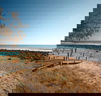 Mon Repos Beach - Find Attractions