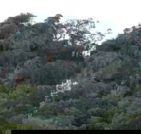 Mount Yarrowyck Nature Reserve - Find Attractions