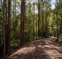 Myrtle Scrub Scenic Drive - Find Attractions