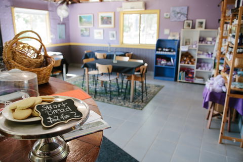Nannup Lavender Farm - Find Attractions 0