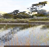 Onkaparinga River Recreation Park - Find Attractions