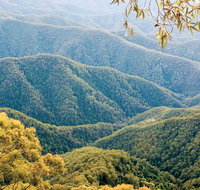 Point Lookout Walking Track - Find Attractions