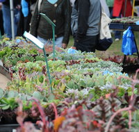 Portsea Market - Find Attractions