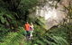 Queen Mary Falls Circuit, Main Range National Park - thumb 2