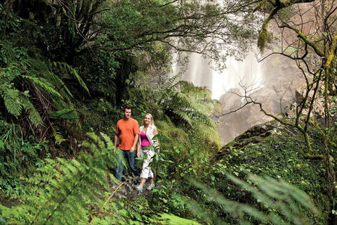 Queen Mary Falls Circuit, Main Range National Park - Find Attractions 2