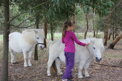 Rain Hayne And Shine Farmyard - Find Attractions 2