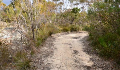 Red Rocks Trig Walking Track - Find Attractions 0