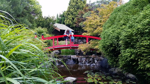 Royal Tasmanian Botanical Gardens - Find Attractions 1