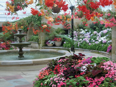 Royal Tasmanian Botanical Gardens - Find Attractions 2