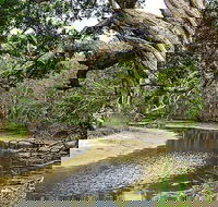 Saltwater National Park - Find Attractions