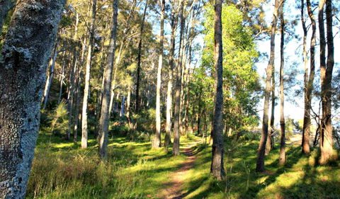 Square Head Track 1 - Find Attractions 0