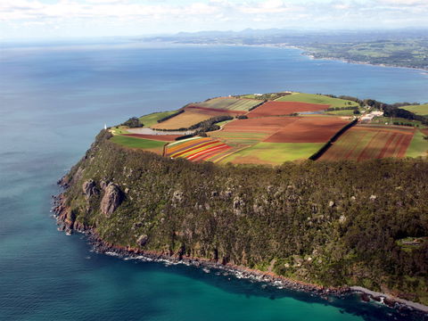 Table Cape - Find Attractions 1