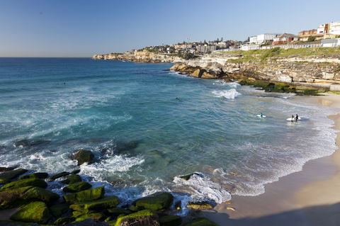Tamarama Beach - Find Attractions 1
