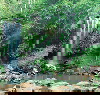 Tamborine National Park - Find Attractions