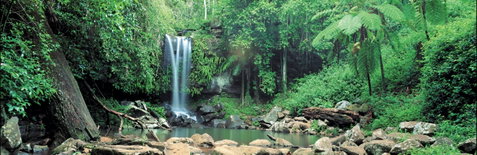 Tamborine National Park - Find Attractions 0