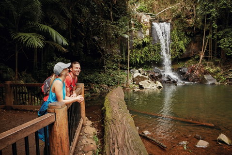 Tamborine National Park - Find Attractions 1