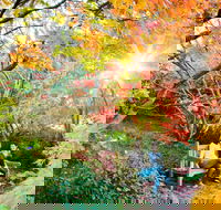 The Blue Mountains Botanic Garden Mount Tomah - Find Attractions
