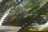 The Grotto
