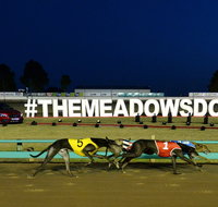The Meadows - Find Attractions