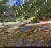 Tjaynera Falls Sandy Creek - Find Attractions
