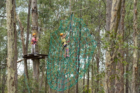 TreeTops Newcastle - Find Attractions 0