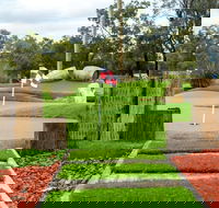 Vines Mini Golf - Find Attractions