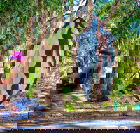 Wagirra Trail and Yindyamarra Sculpture Walk - Find Attractions
