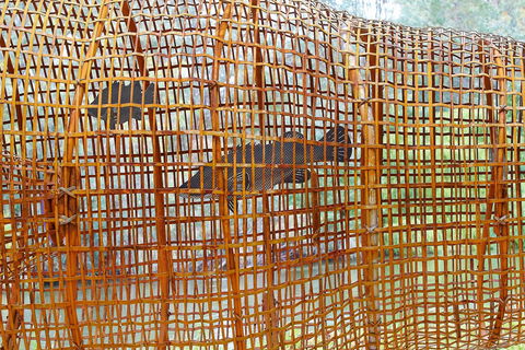 Wagirra Trail And Yindyamarra Sculpture Walk - Find Attractions 2