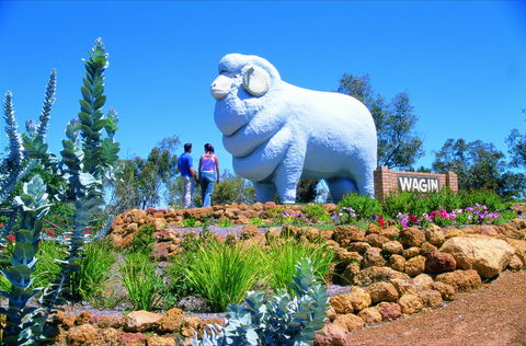 Wagin - Find Attractions 0