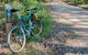 Walter Hood Ride From Cudmirrah - thumb 0