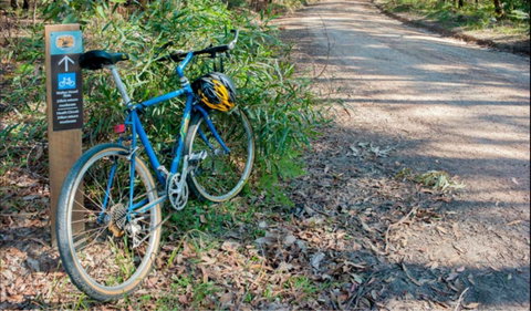 Walter Hood Ride From Cudmirrah - Find Attractions 0