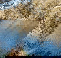 Wandandian Creek picnic area - Find Attractions